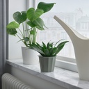 BUSKVERK Plant pot - in/outdoor grey 9 cm