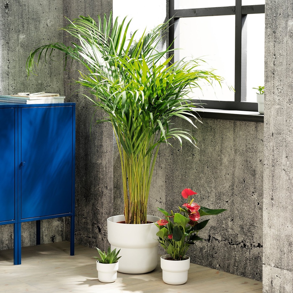FÖRENLIG Plant pot - in/outdoor white 9 cm