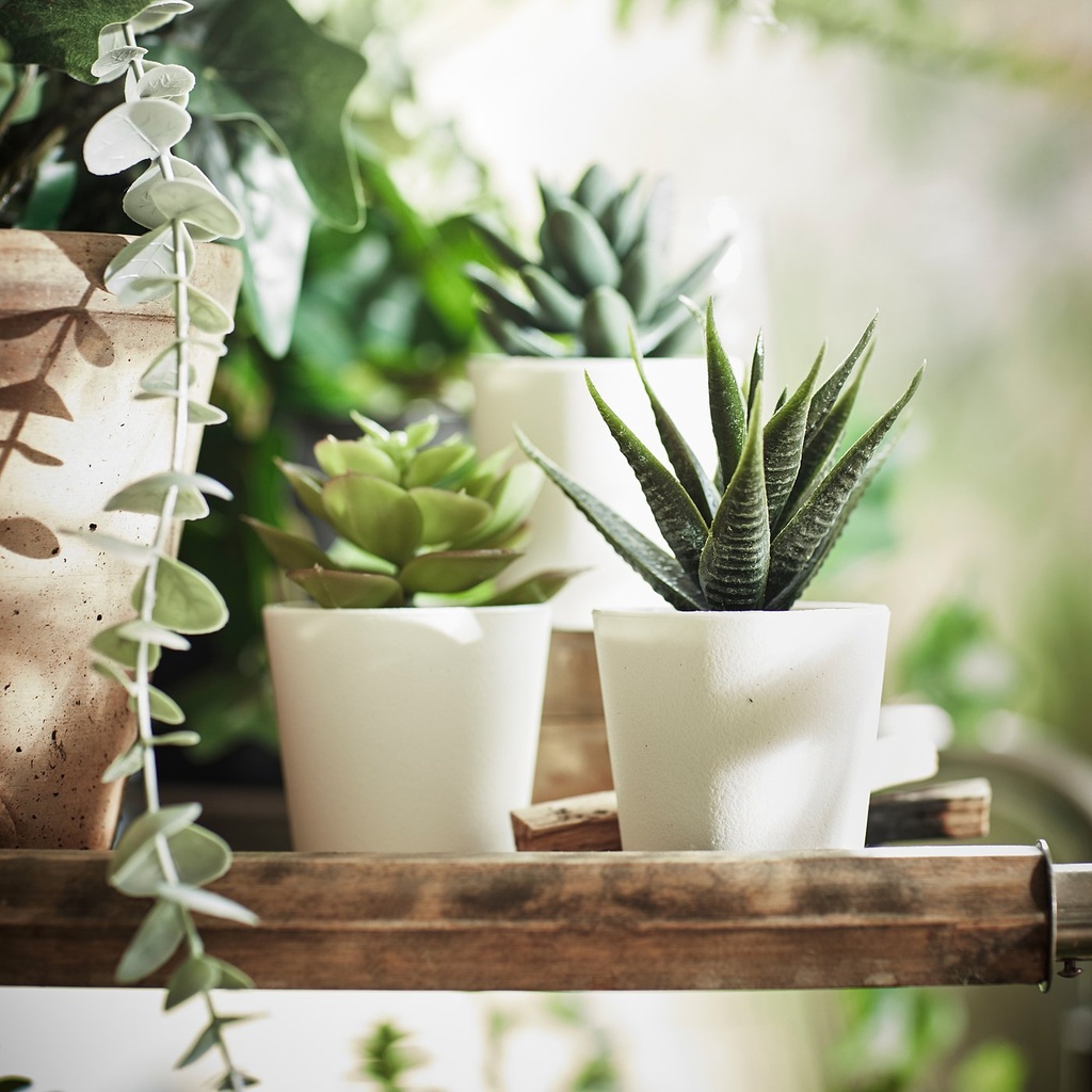 FEJKA Artificial potted plant with pot - in/outdoor Succulent 6 cm 3 pack