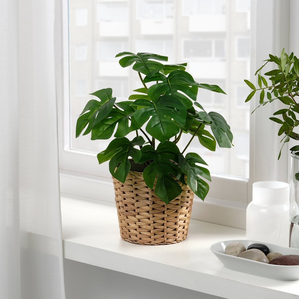 FEJKA Artificial potted plant - in/outdoor Monstera 12 cm
