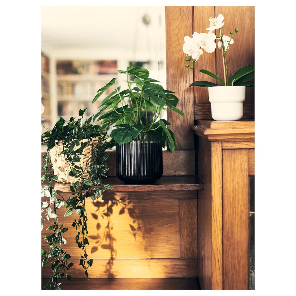 FEJKA Artificial potted plant - in/outdoor Monstera 12 cm