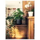 FEJKA Artificial potted plant - in/outdoor Monstera 12 cm