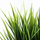 FEJKA Artificial potted plant - in/outdoor grass 9 cm