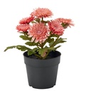 FEJKA Artificial potted plant - in/outdoor/Chrysanthemums pink 9 cm