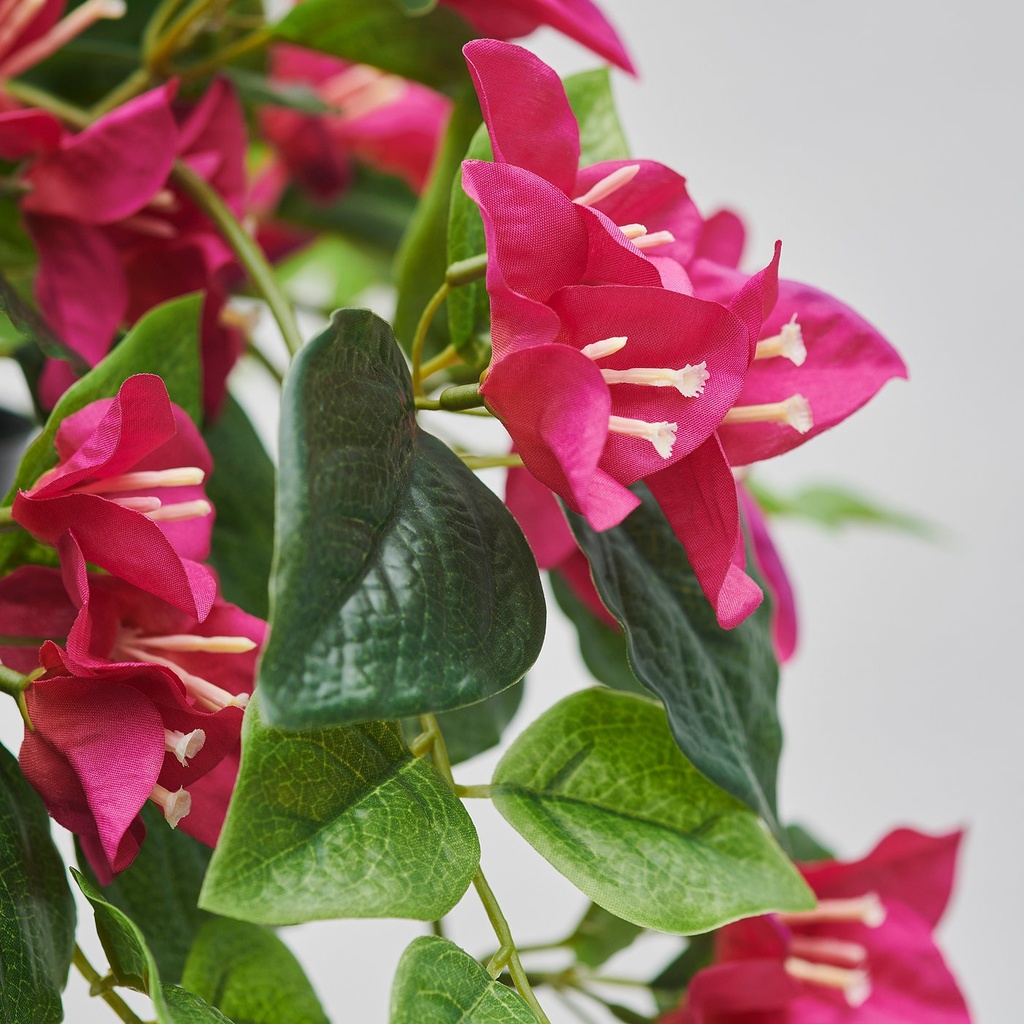 FEJKA Artificial potted plant - in/outdoor/Bouganvilla pink 12 cm