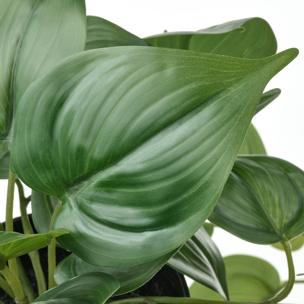 FEJKA Artificial potted plant - in/outdoor Golden Pothos/hanging 12 cm