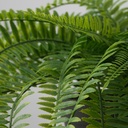 FEJKA Artificial potted plant - in/outdoor hanging/fern 12 cm
