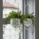 FEJKA Artificial potted plant - in/outdoor Asparagus/hanging 12 cm