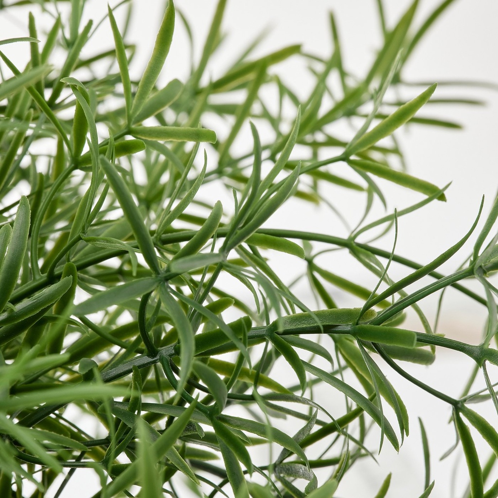FEJKA Artificial potted plant - in/outdoor Asparagus/hanging 12 cm