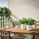 FEJKA Artificial potted plant - in/outdoor/basil 9 cm