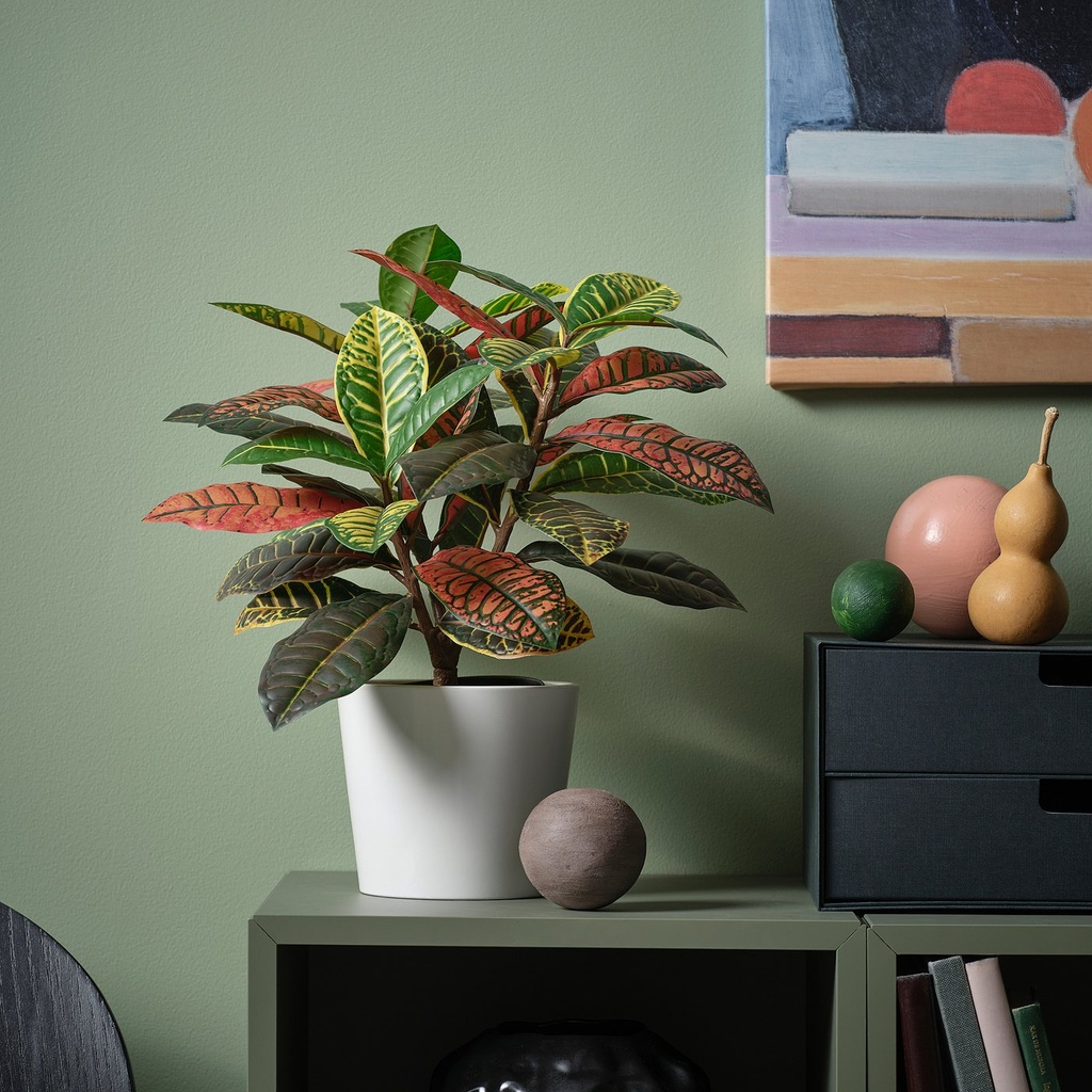 FEJKA Artificial potted plant - in/outdoor Croton 12 cm