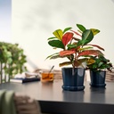 FEJKA Artificial potted plant - in/outdoor Croton 12 cm