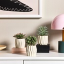 FEJKA Artificial potted plant, set of 3 - in/outdoor Succulent