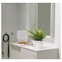 FEJKA Artificial potted plant - in/outdoor fern 9 cm