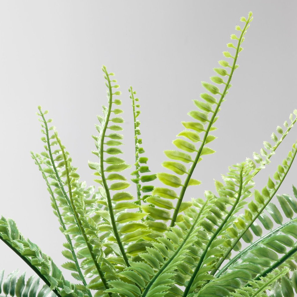FEJKA Artificial potted plant - in/outdoor fern 9 cm