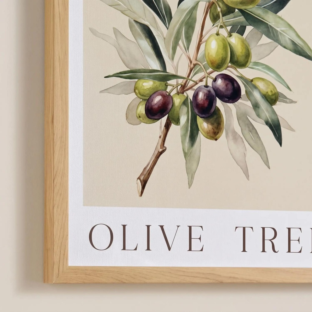 Olive Tree 2-Piece Printed Framed Canvas Wall Art 40x50cm - Green