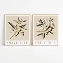 Olive Tree 2-Piece Printed Framed Canvas Wall Art 40x50cm - Green