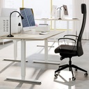 TROTTEN office desks & tables