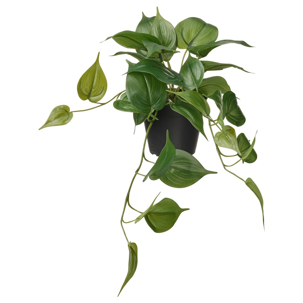 [40615271] FEJKA Artificial potted plant - in/outdoor Golden Pothos/hanging 12 cm