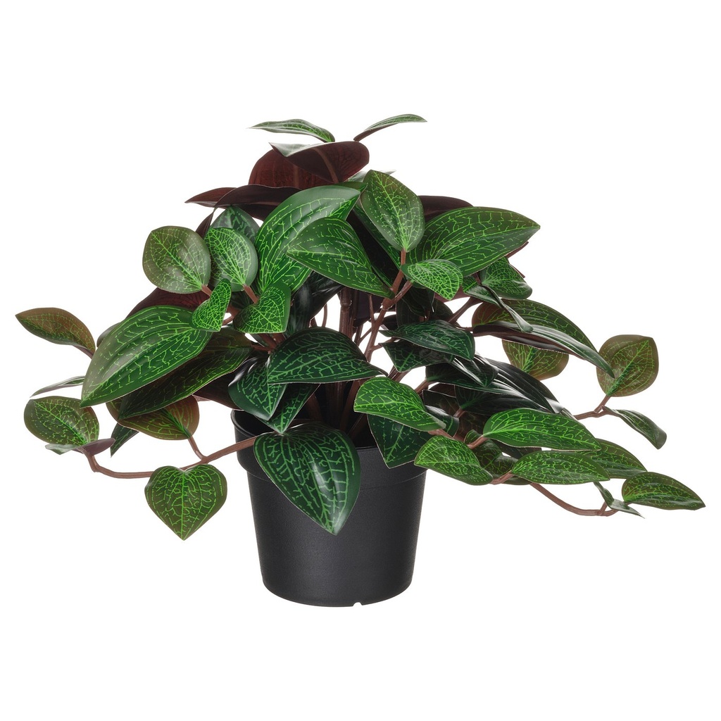 [40600868] FEJKA Artificial potted plant - in/outdoor Jewel orchid 9 cm