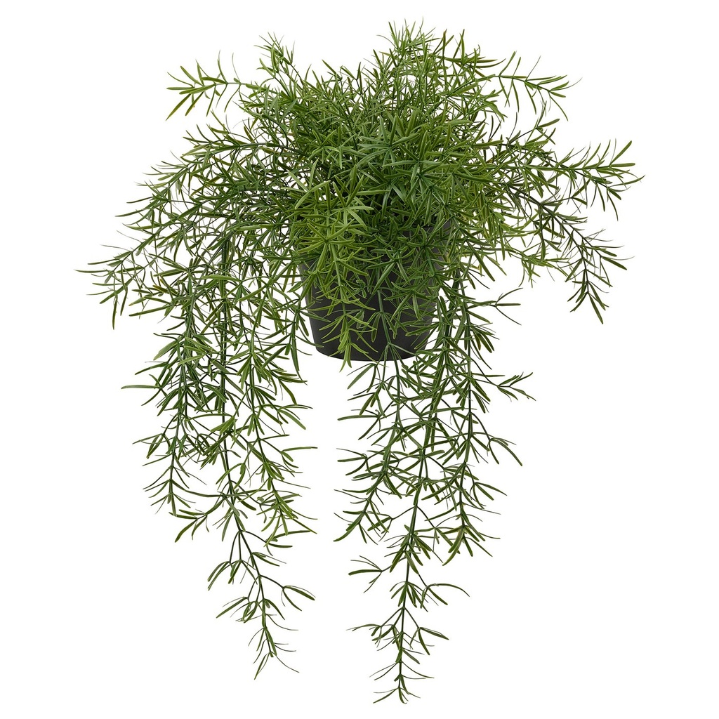 [70614227] FEJKA Artificial potted plant - in/outdoor Asparagus/hanging 12 cm