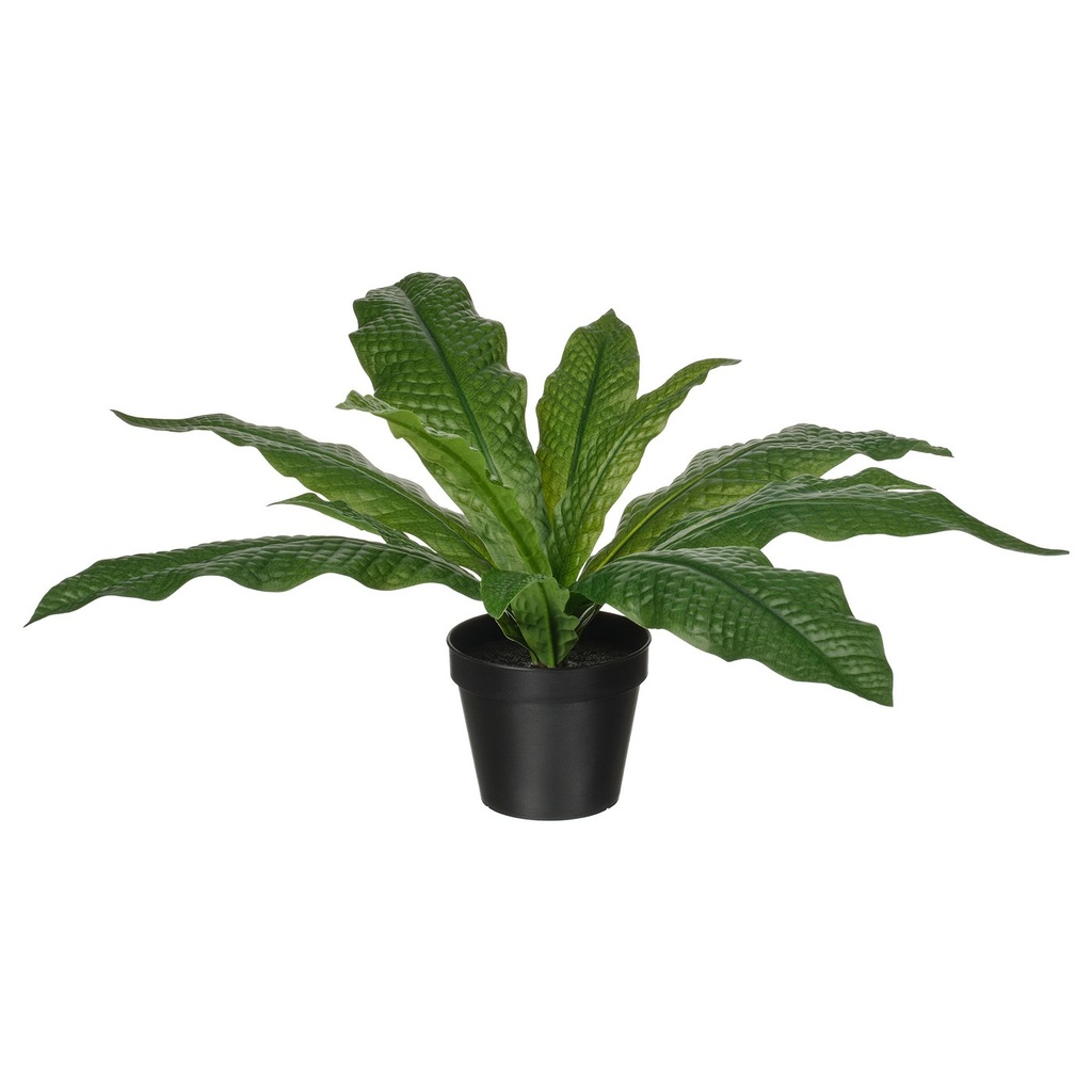 [40600873] FEJKA Artificial potted plant - in/outdoor Crocodile fern 12 cm