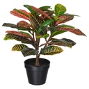 FEJKA Artificial potted plant - in/outdoor Croton 12 cm