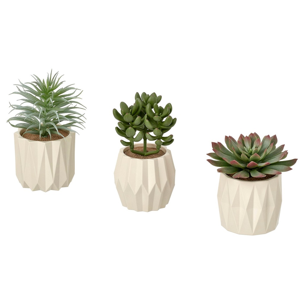 [60630063] FEJKA Artificial potted plant, set of 3 - in/outdoor Succulent