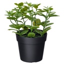 FEJKA Artificial potted plant - in/outdoor Mint 9 cm