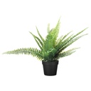 FEJKA Artificial potted plant - in/outdoor fern 9 cm