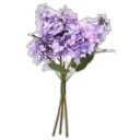 Decoration